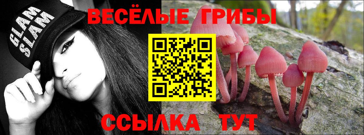 купить   Вход с VPN  Полысаево  Галлюциногенные грибы Psilocybe 