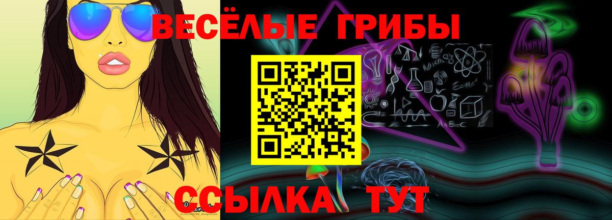 Галлюциногенные грибы Psilocybe Полысаево
